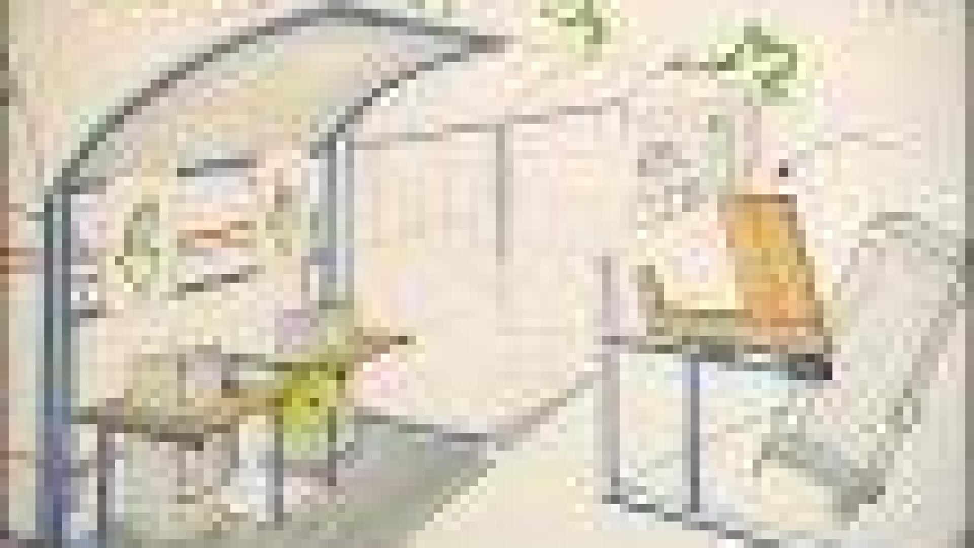 Projet entrepreneurial pour Saint Luc